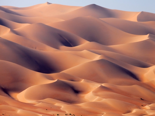 desert-landscape-in-the-uae-sand-dunes-in-square-format_t20_A9yLo1