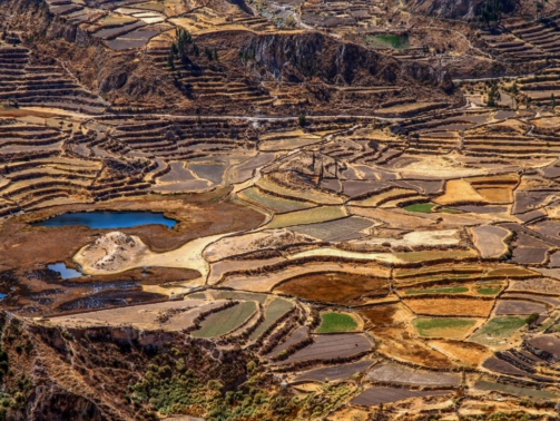 terrace-fields-in-the-canyon-colca-P64DF3P